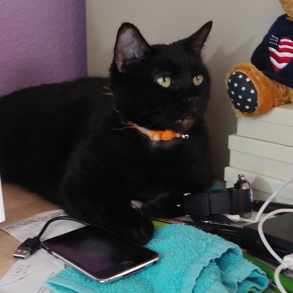 Meet your Poshers, William & Amy - Picture 3 of 7